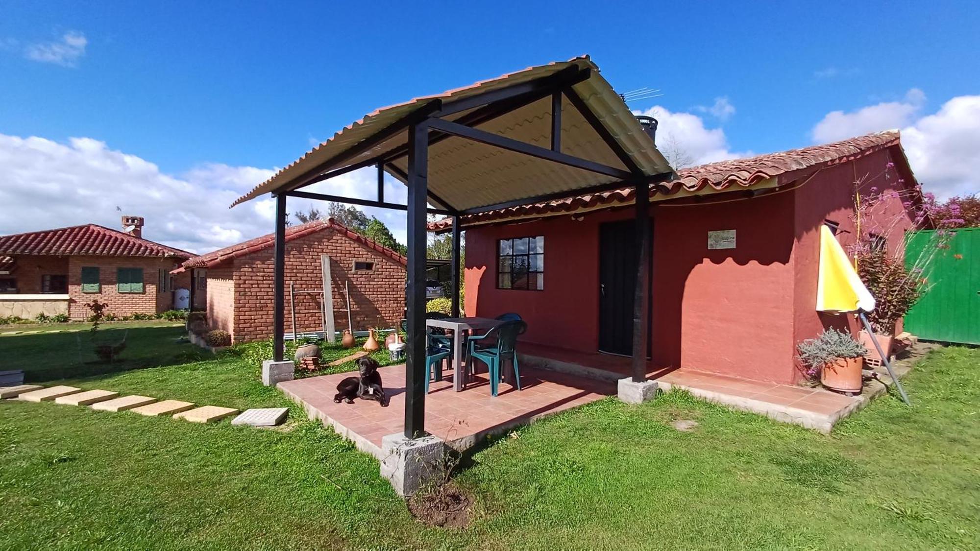 Rurales Mano De Oso *
